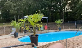 Maison charmante à Puygaillard-de-Quercy avec piscine privée